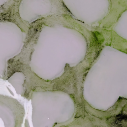 Repose-Cuillère Artisanal Noir & Or | Finition Résine Brillante.